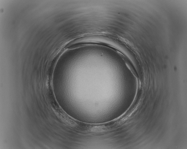 X0000076421161200610271701