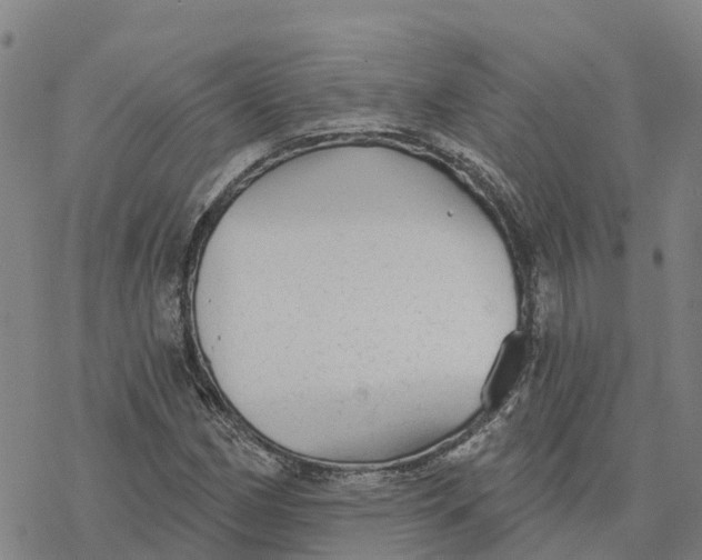 X0000076421162200610271701