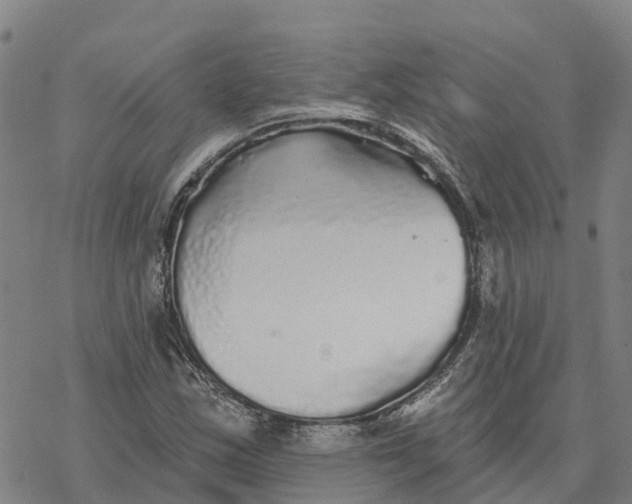 X0000076421163200610271701