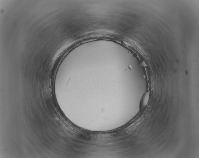 X0000076421164200610271701