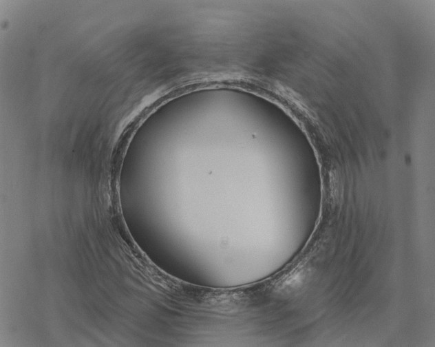 X0000076421165200610271701