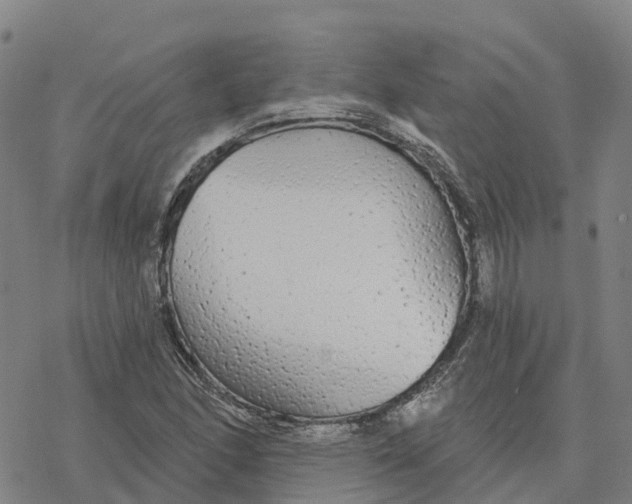 X0000076421166200610271701