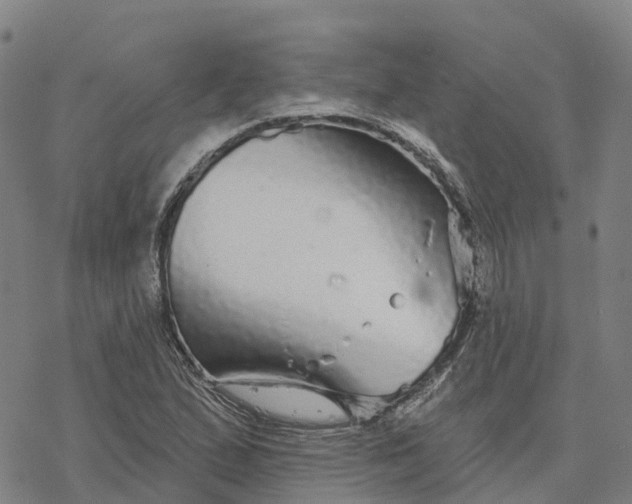 X0000076421167200610271701