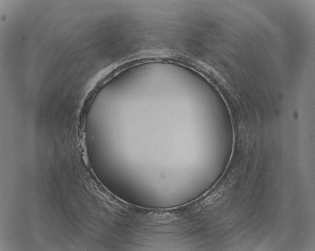 X0000076421168200610271701