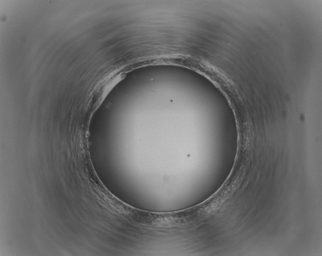 X0000076421169200610271701