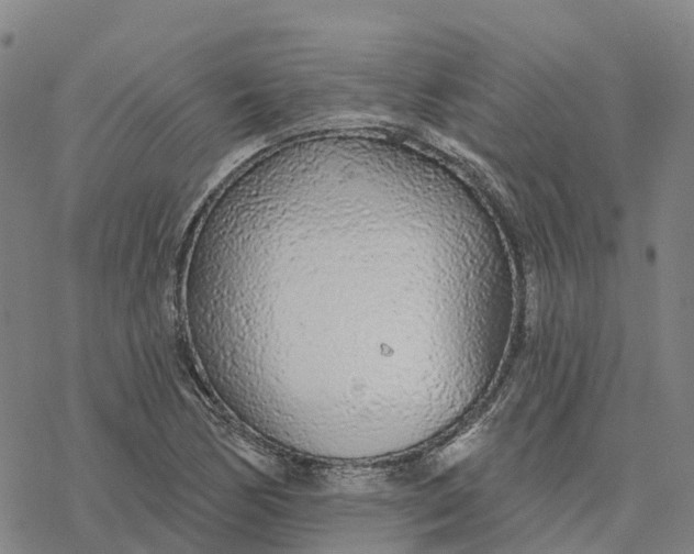 X0000076421170200610271701