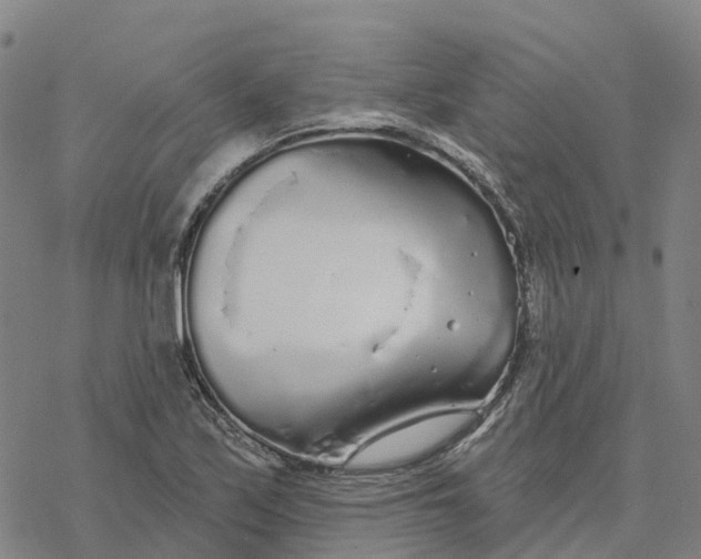 X0000076421171200610271700