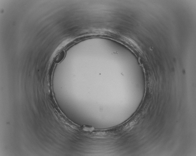 X0000076421172200610271700