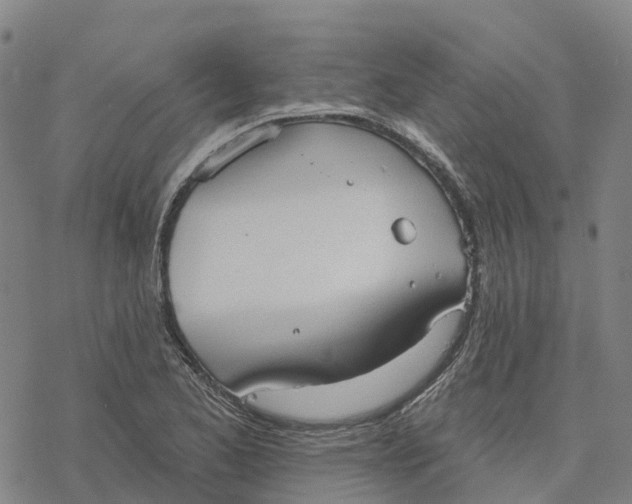 X0000076421173200610271700