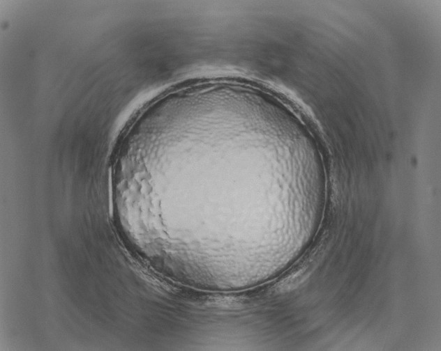 X0000076421175200610271700