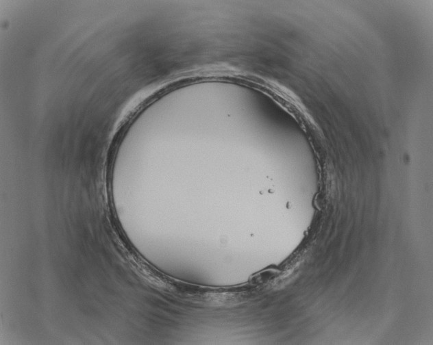 X0000076421176200610271700