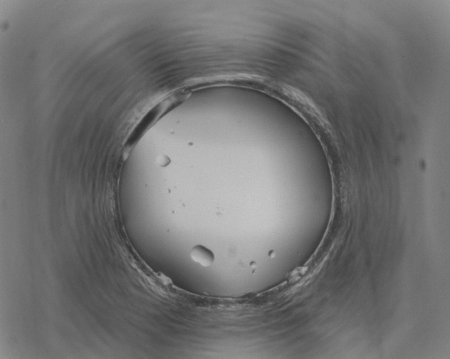 X0000076421177200610271700