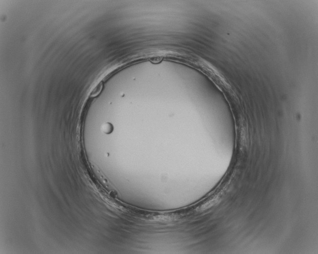 X0000076421178200610271700