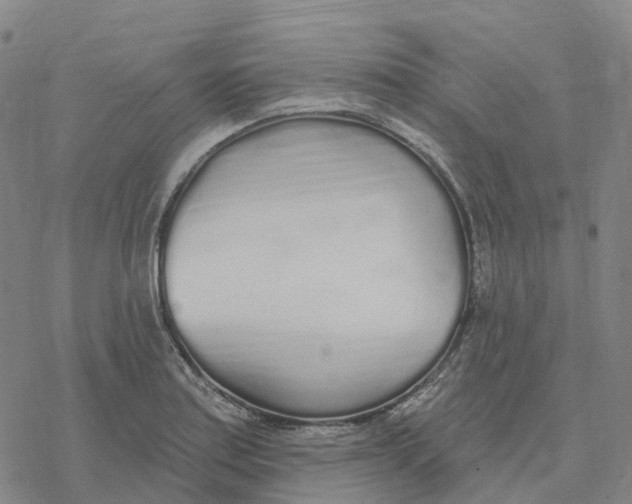 X0000076421179200610271700