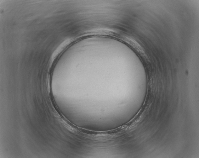 X0000076421180200610271700