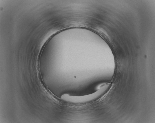 X0000076421182200610271700