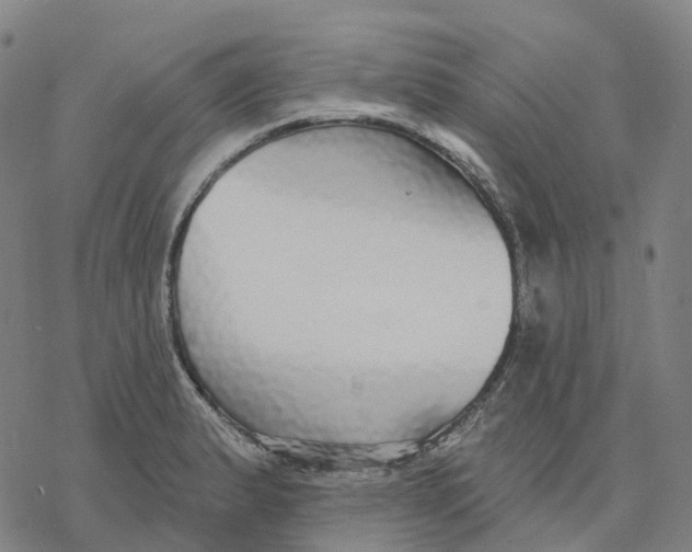 X0000076421183200610271700