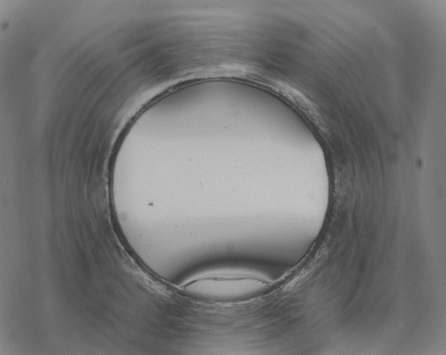 X0000076421184200610271700