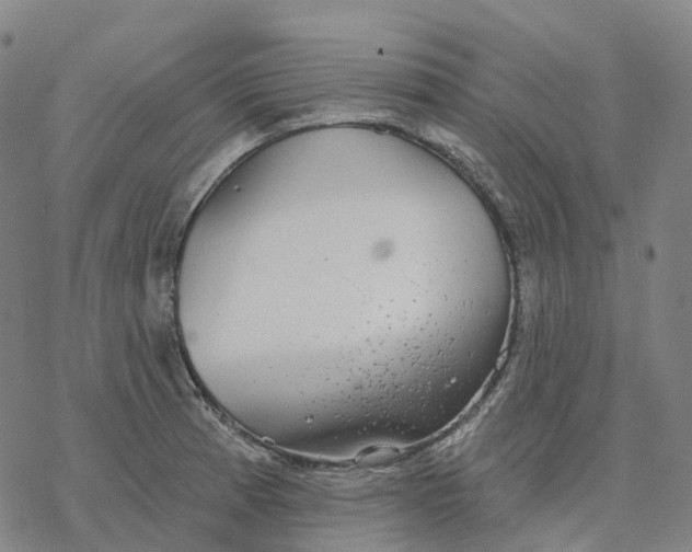 X0000076421185200610271700