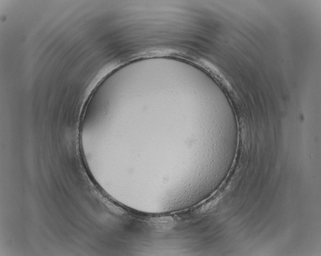 X0000076421186200610271700