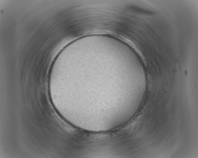 X0000076421187200610271700