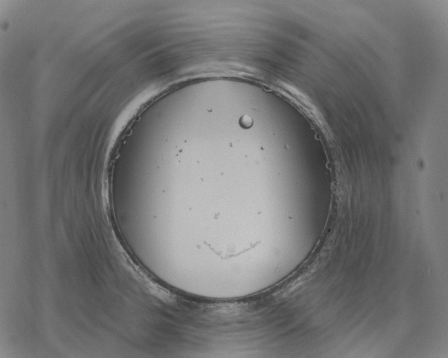 X0000076421188200610271700