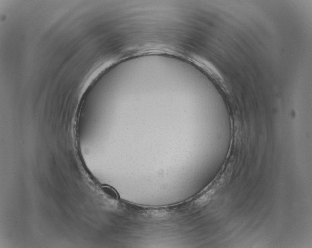 X0000076421190200610271700