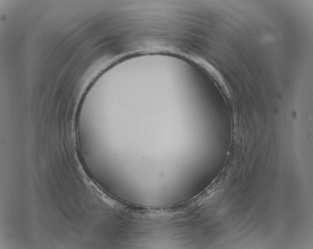 X0000076421191200610271700