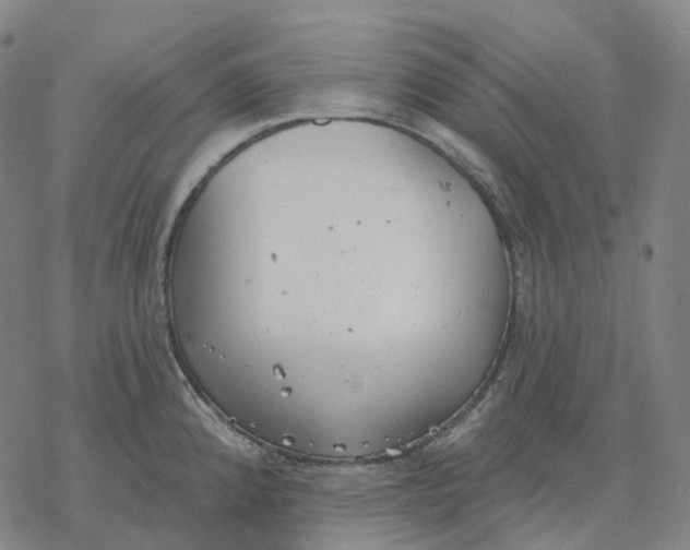 X0000076421192200610271700