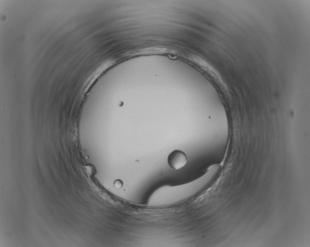 X0000076421193200610271700