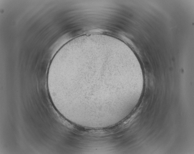 X0000076421194200610271700