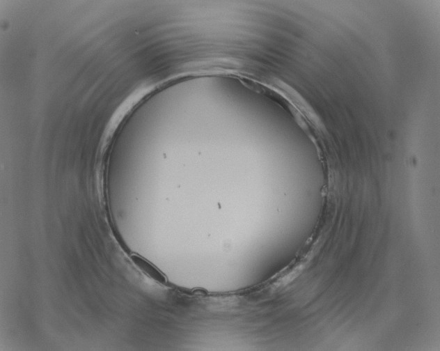 X0000076421196200610271700