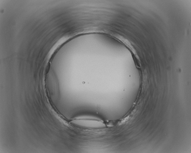 X0000076421197200610271700