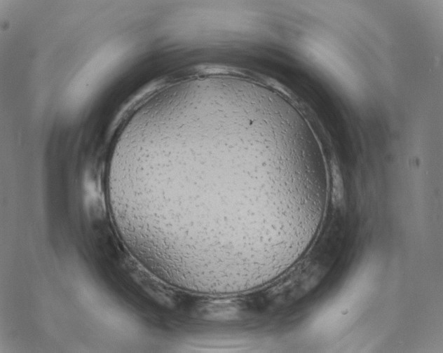 X0000076421198200610271700