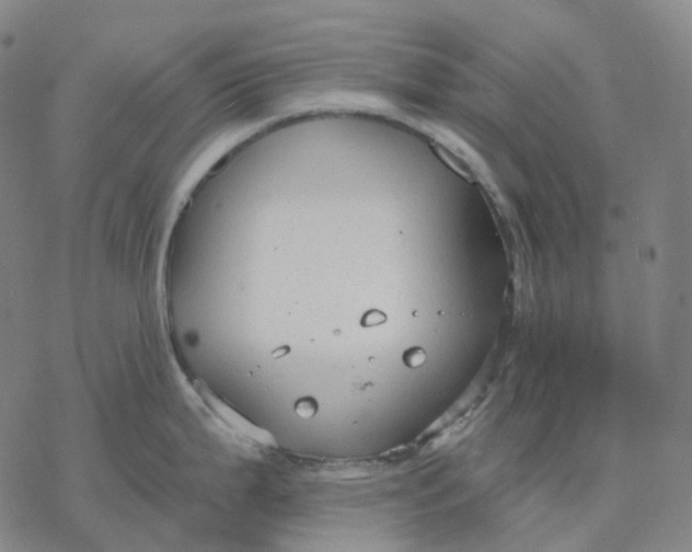 X0000076421199200610271700