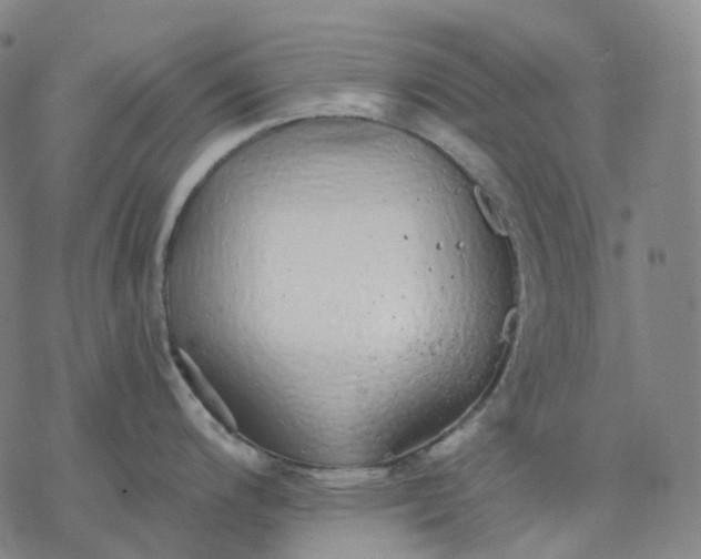 X0000076421200200610271700