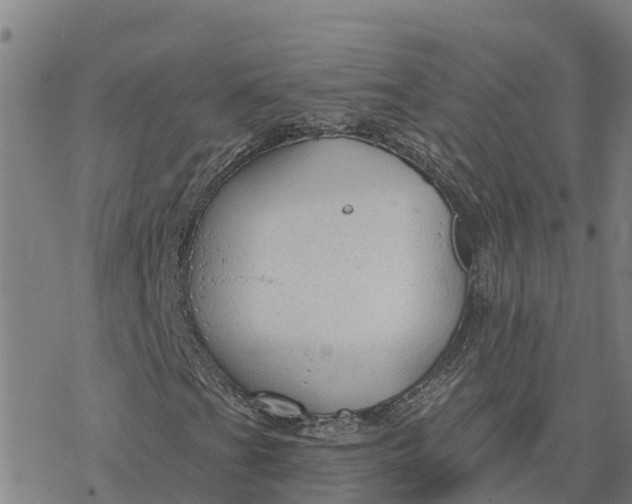 X0000076421201200610271659