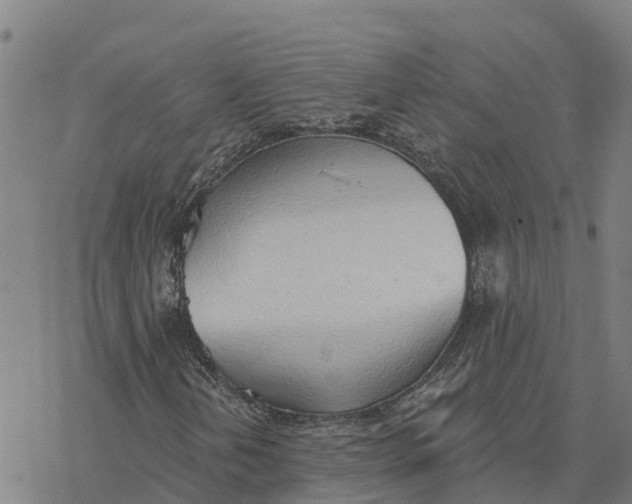 X0000076421202200610271659