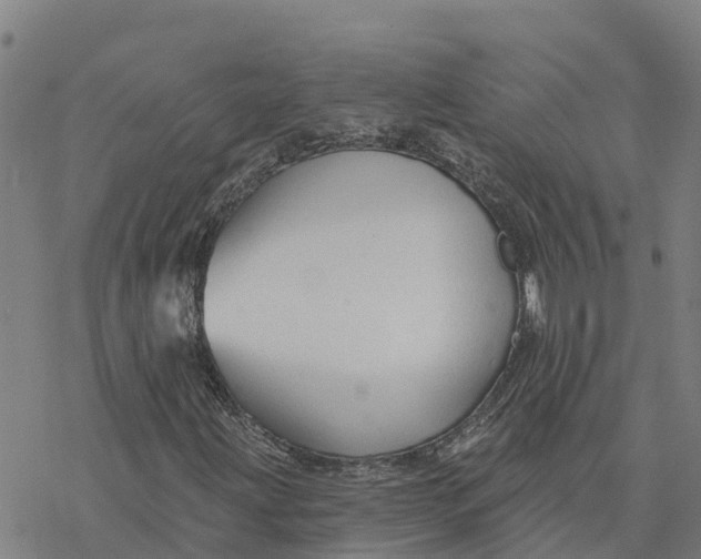 X0000076421203200610271659