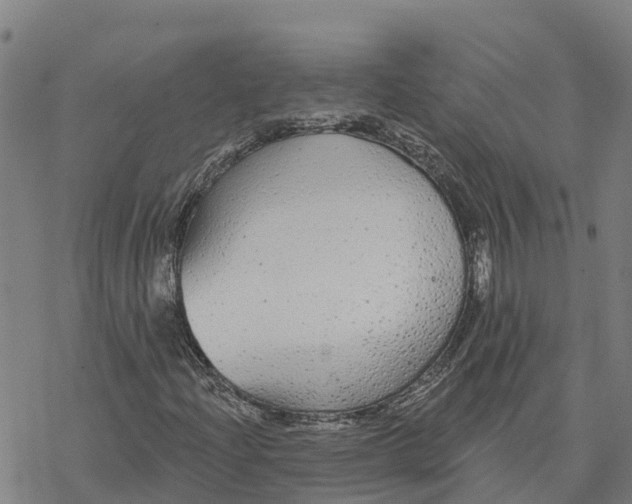 X0000076421204200610271659