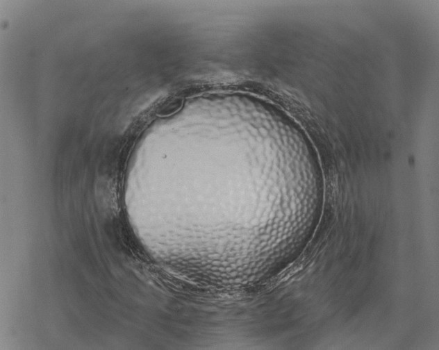 X0000076421205200610271659