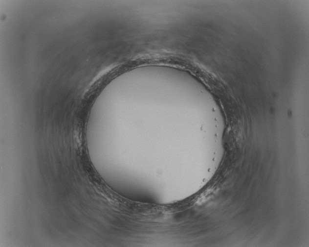 X0000076421206200610271659