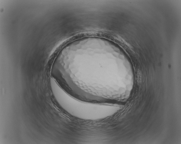 X0000076421208200610271659