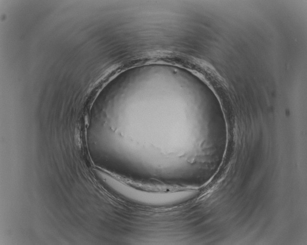 X0000076421209200610271659