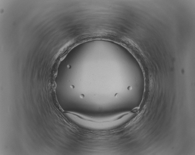 X0000076421210200610271659