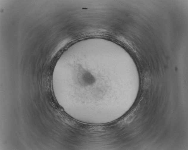 X0000076421211200610271659