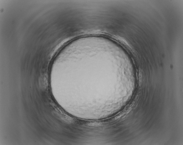 X0000076421212200610271659