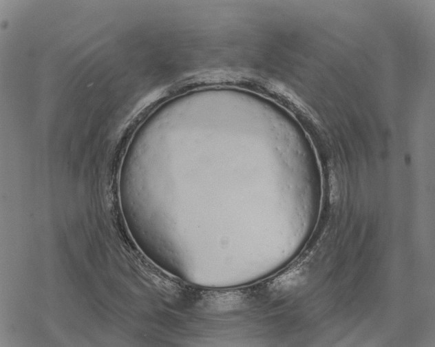 X0000076421213200610271659