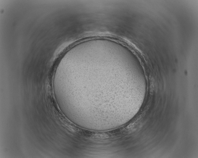 X0000076421215200610271659