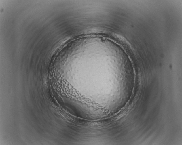 X0000076421217200610271700